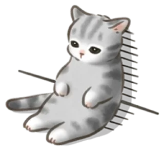 🐱