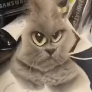 ☹️