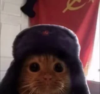 Киськи - @Tg_stickersu