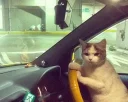 🚗
