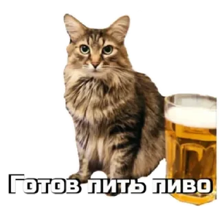 🍻