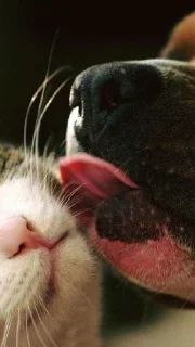 😣
