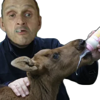 🥛
