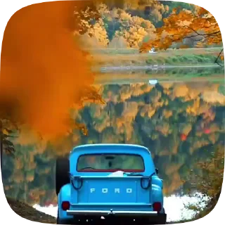 🍁