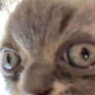 😶
