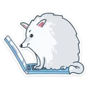 💻