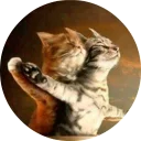 🐱