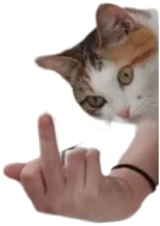 🖕