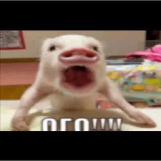 😧
