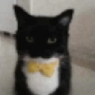 😋