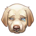 😢