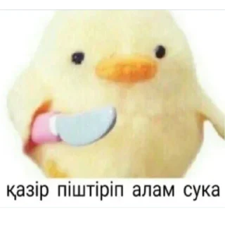 🐤
