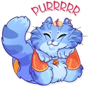🐱
