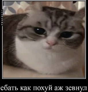 😒
