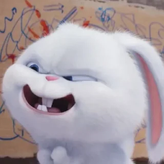 🐰