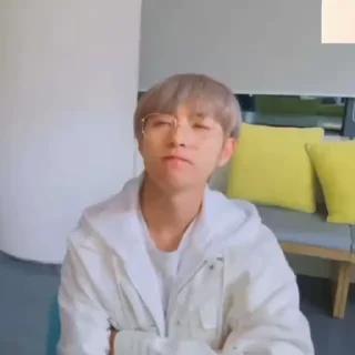 🦊