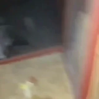 🤩