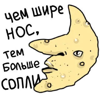 ✨