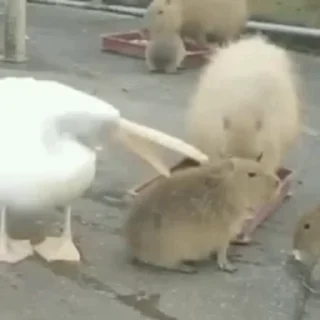 😧