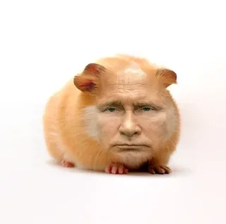 🐹