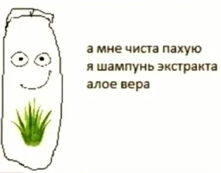 🌿