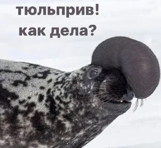 👋