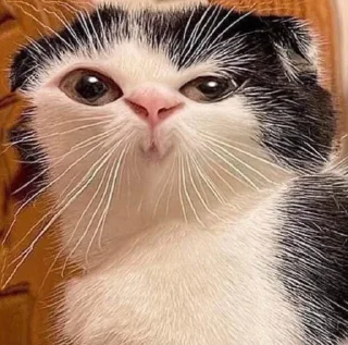 😗