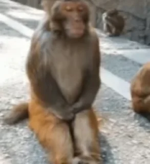 😎