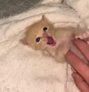 🥰