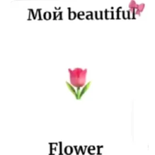🌸