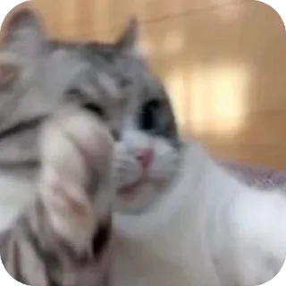 🫥