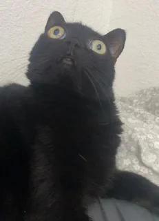 😐