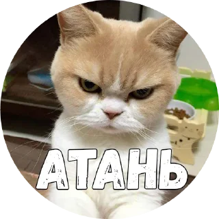 😠