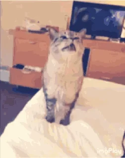 😟