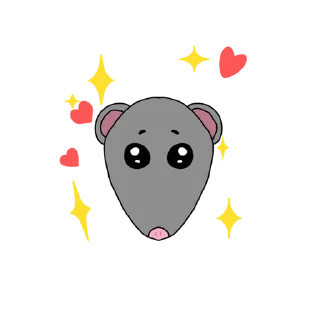 ✨