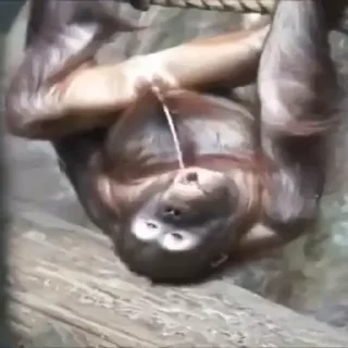 🥂