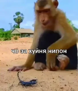😱