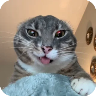 👍