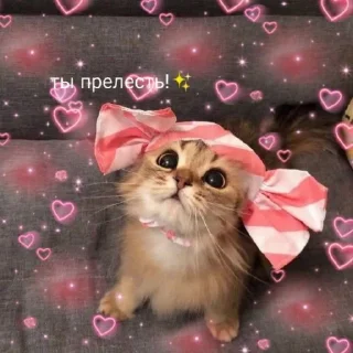 🍬