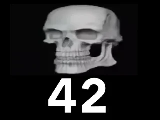 💀
