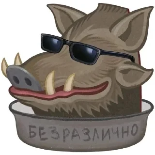😎