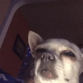 😣