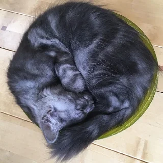 😴