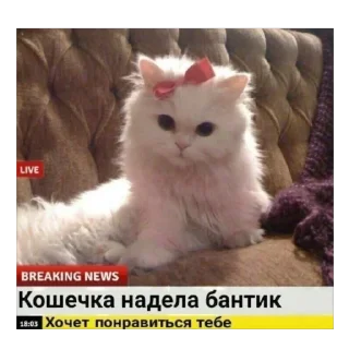 🥰
