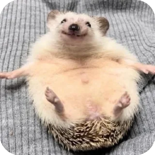 😊