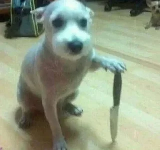 🔪
