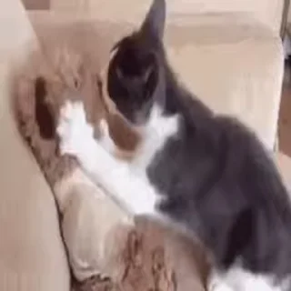 😘