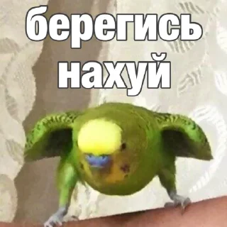 😡