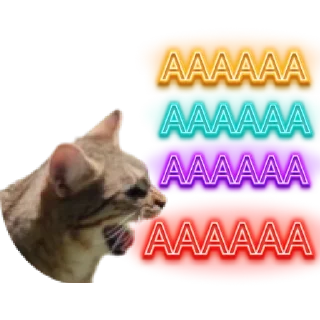 😲
