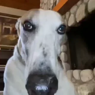 🤨